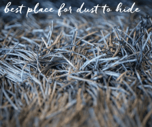 dust-air-quality